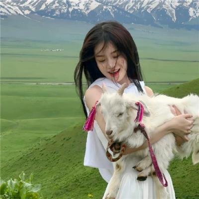 疯狂的旅行箱